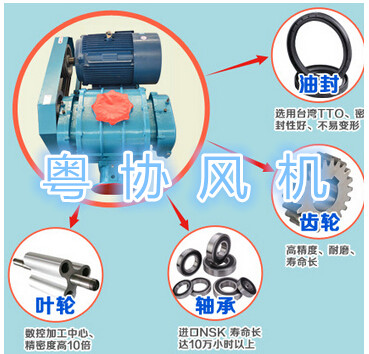 高壓羅茨風(fēng)機