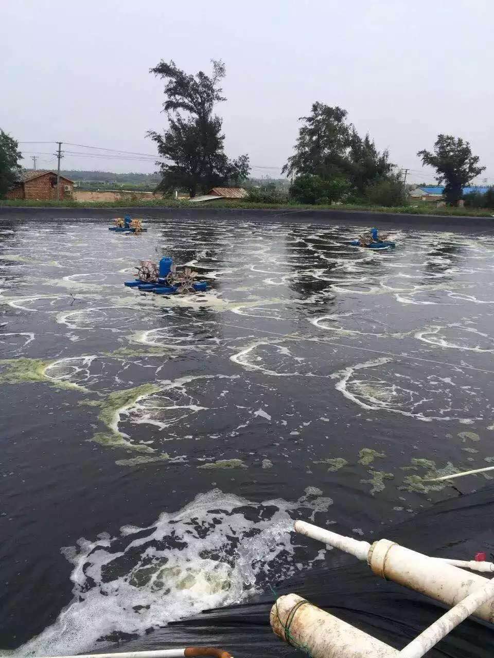 增氧風(fēng)機(jī)廠家